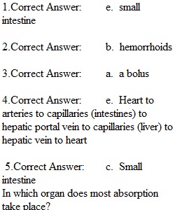 Quiz 2 Chapter 3